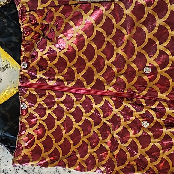 Imperial Dragon Costume - Picture 10 of 10